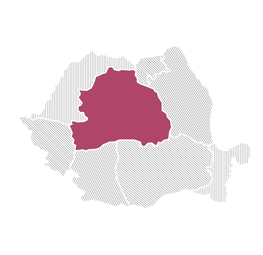 Crame Regiunea Transilvania