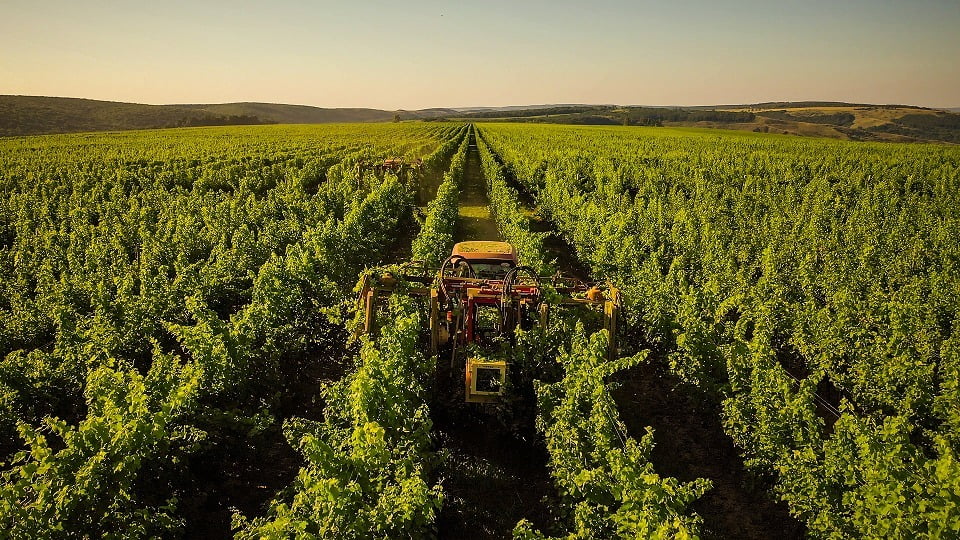 Domeniile Averesti Estates (1)