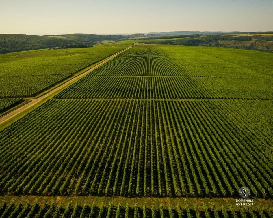 Domeniile Averesti Estates