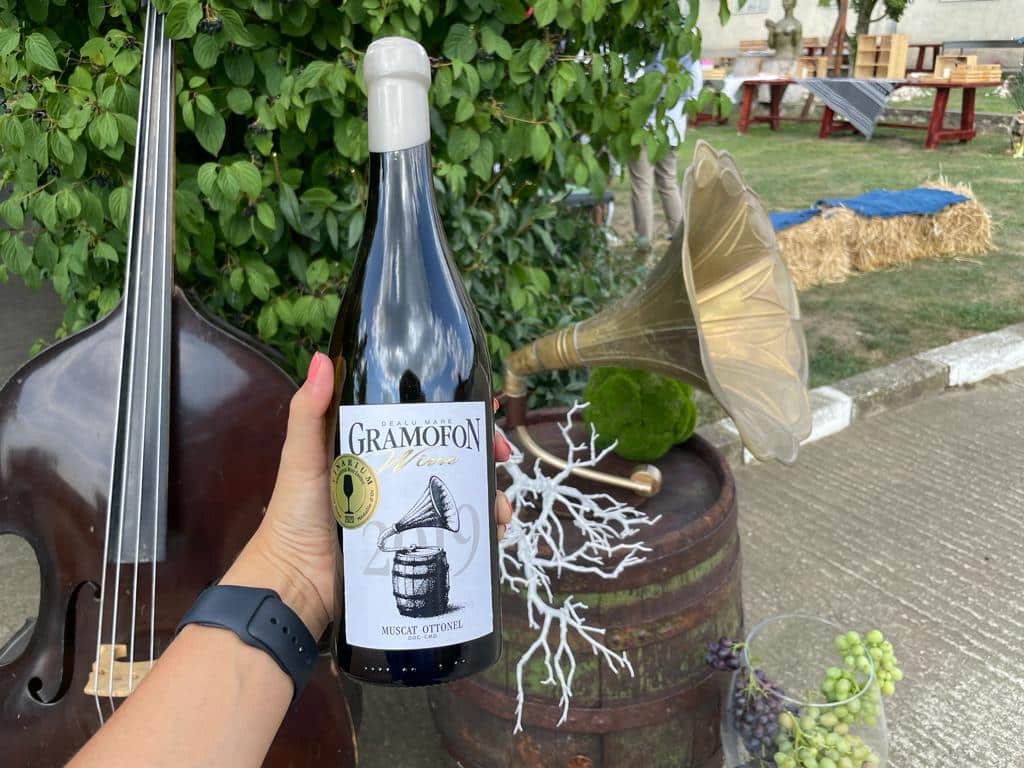 Marcel Pascu - Gramofon Muscat Ottonel