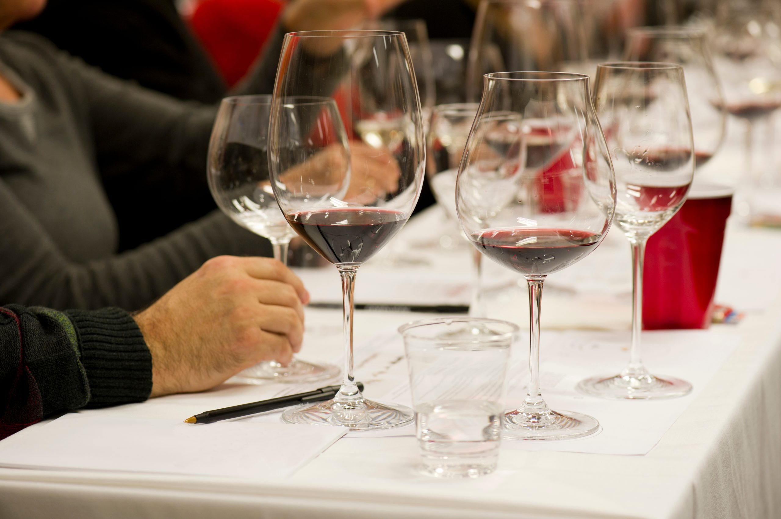 Concursul National de Vin