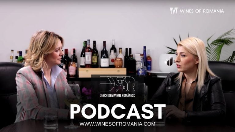 Ep. #25 Discover the secret of entrepreneurial success with Monica Dinu