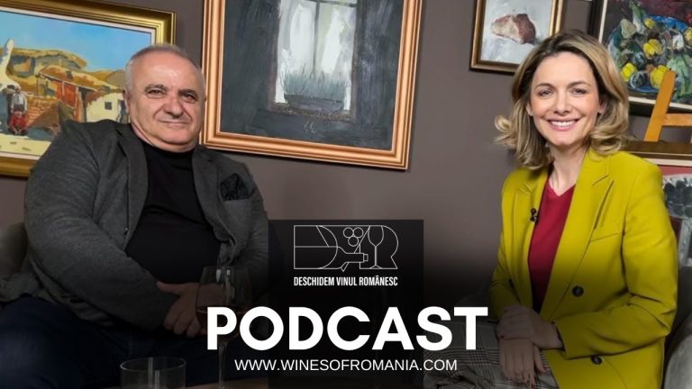 Ep. #27 ''Cramele au nevoie de investiții responsabile" - Liviu Năstase, coproprietar Valdo Invest