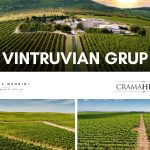 Vintruvian