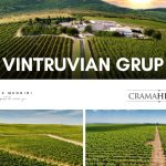 Vintruvian