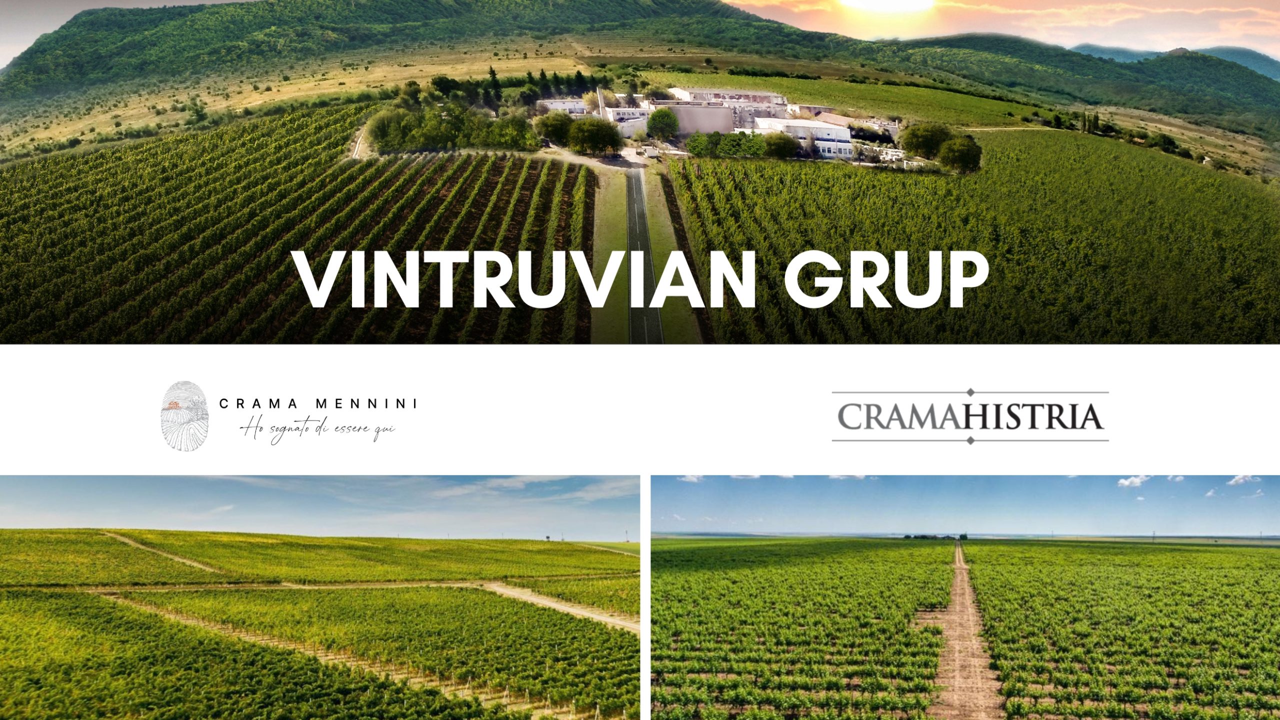 Vintruvian