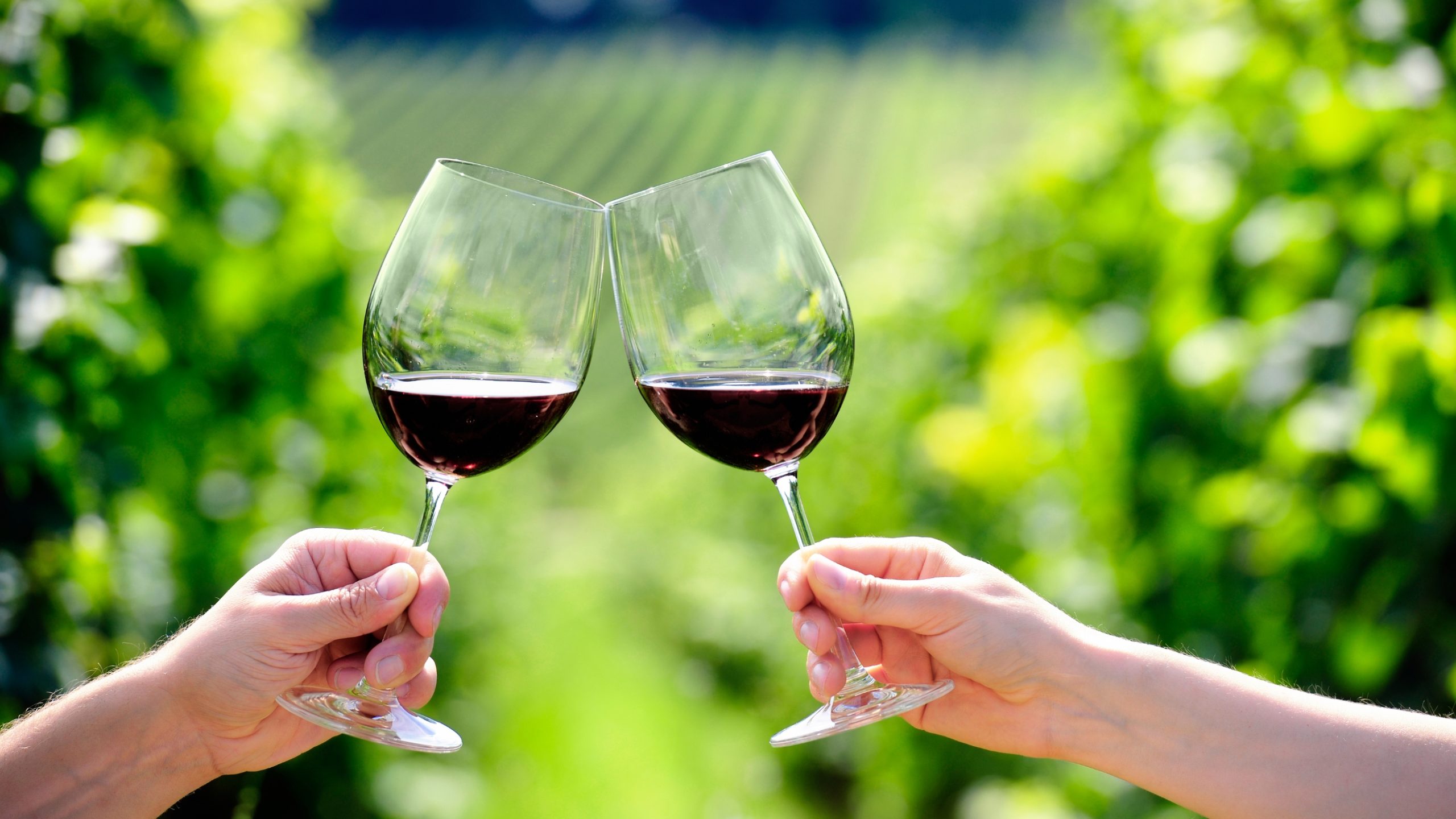 Pinot noir