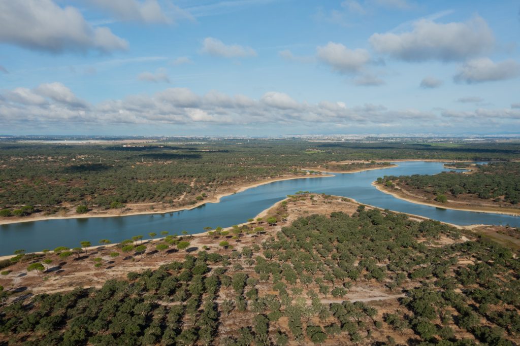 Pădure de stejari de plută (Quercus suber) din Portugalia, sursă naturală regenerabilă pentru producția sustenabilă de plută