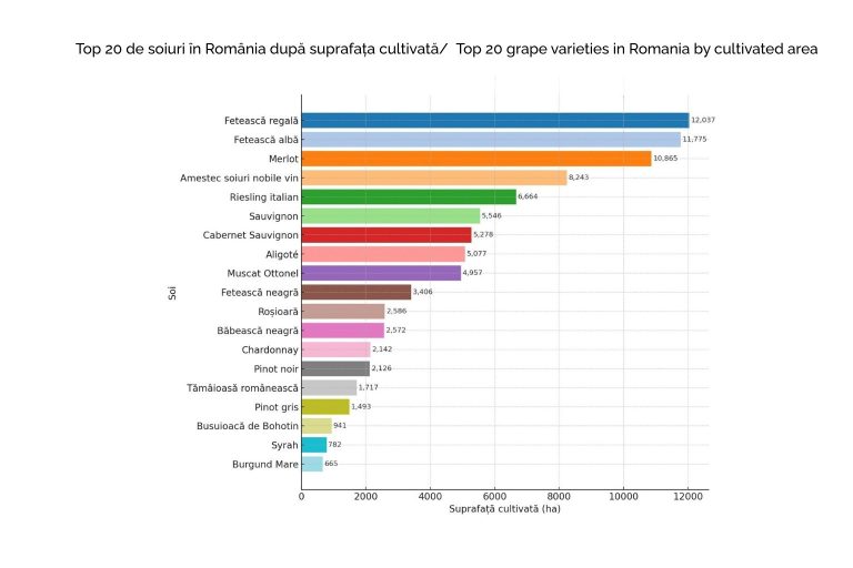 Grafic cu primele 20 de soiuri cultivate &icirc;n Rom&acirc;nia: Fetească Regală 12.037 ha, Fetească Albă 11.775 ha, Merlot 10.865 ha, Riesling italian 6.664 ha, Pinot Noir 2.126 ha etc.