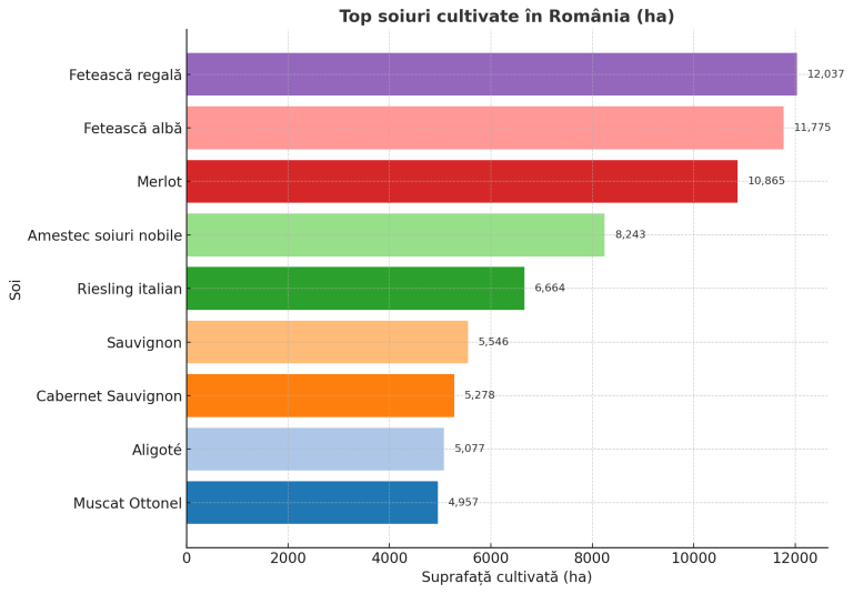 Grafic cu top soiuri de struguri cultivați &icirc;n Rom&acirc;nia, &icirc;n hectare