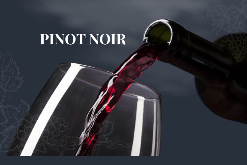 Vin roșu Pinot Noir turnat din sticlă într-un pahar de degustare