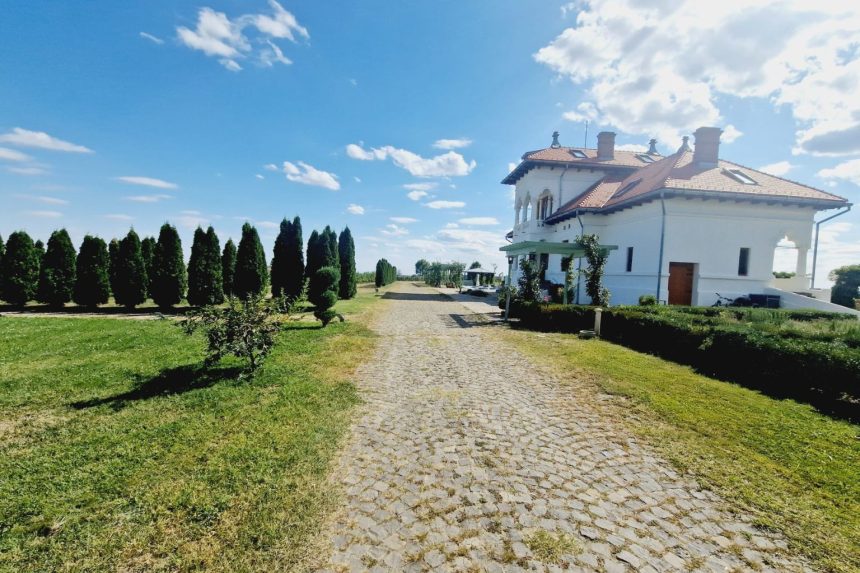 Conacul Avincis de pe Domeniul Vila Dobrușa, Drăgășani, într-o zi însorită de vară