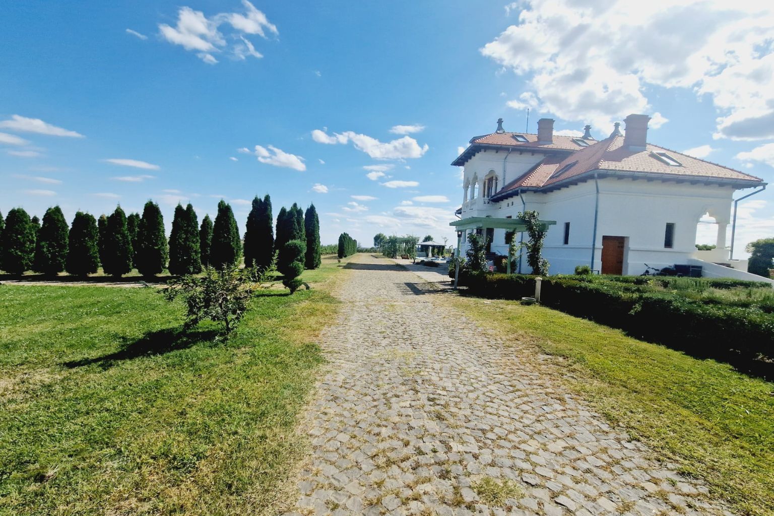 Conacul Avincis de pe Domeniul Vila Dobrușa, Drăgășani, într-o zi însorită de vară