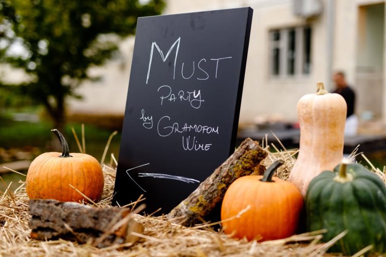 Panou Must Party by Gramofon Wine, decorat cu dovleci de toamnă &icirc;n Dealu Mare