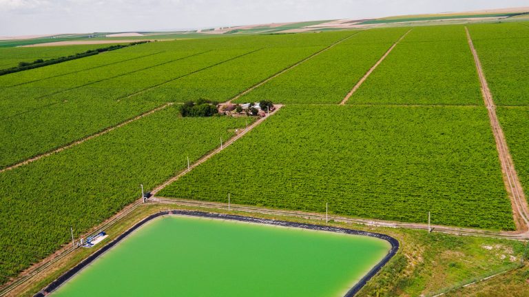 Podgoriile Beciului Domnesc din Vrancea