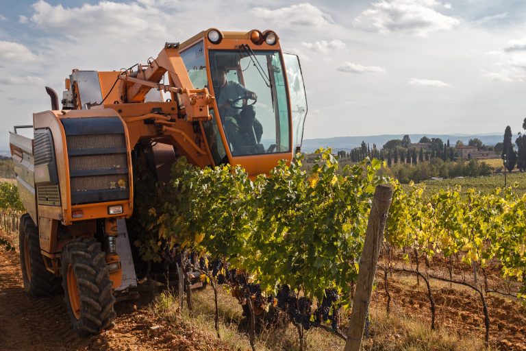 Mașină agricolă pentru recoltarea strugurilor &icirc;n vie