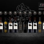 Selecție de vinuri Crama DeMatei premiate de James Suckling, cu scoruri între 91 și 95 de puncte, prezentare pe fundal negru.