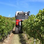 Mașină de recoltat struguri între rândurile de viță-de-vie