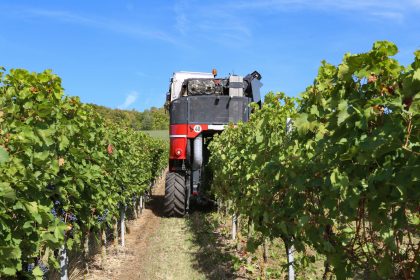 Mașină de recoltat struguri între rândurile de viță-de-vie
