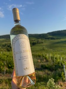 Sticlă de Galbenă de Odobești, vin alb sec de la Beciul Domnesc, ținută &icirc;n lumină naturală &icirc;n mijlocul viilor din Vrancea