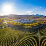 Reprezentanții APEV România și delegația Yantai semnează Memorandumul de cooperare în industria vinului, 2025