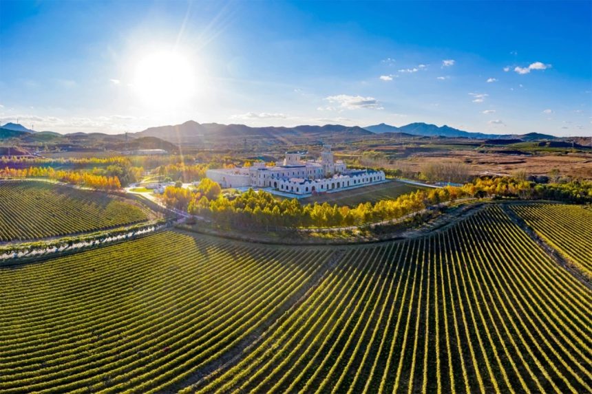 Reprezentanții APEV România și delegația Yantai semnează Memorandumul de cooperare în industria vinului, 2025